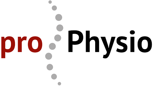 prophysio-kelheim.de
